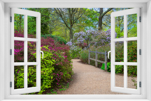 Fototapeta Naklejka Na Ścianę Okno 3D - Beautiful garden in the springtime in Richmond Park, Isabella Plantation, in London