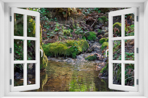 Fototapeta Naklejka Na Ścianę Okno 3D - forest stream in the spring forest with spring flowers on the shore close-up