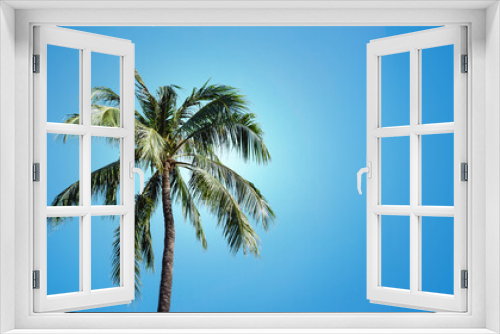 Fototapeta Naklejka Na Ścianę Okno 3D - Palm tree with blue cloudy sky in the background. Green leaves exotic summer. Good weather vacation landscape. High tree paradise island. Empty copy space sunny travel.