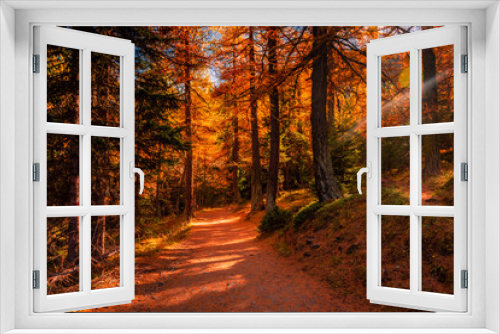 Fototapeta Naklejka Na Ścianę Okno 3D - Beautiful trail in  the wood with red leaves trees in the Alps of Italy