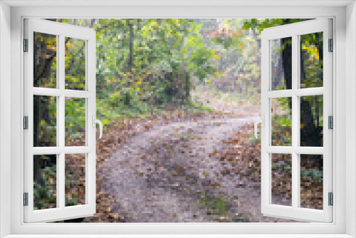 Fototapeta Naklejka Na Ścianę Okno 3D - Forest path