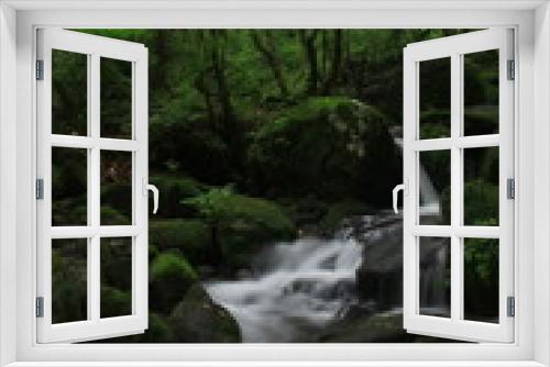 Fototapeta Naklejka Na Ścianę Okno 3D - Moss / 이끼
