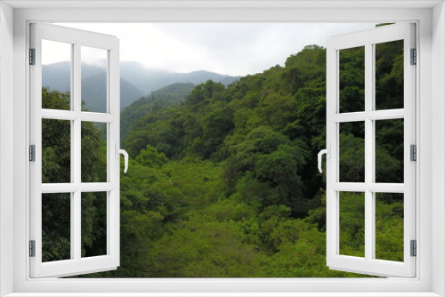 Fototapeta Naklejka Na Ścianę Okno 3D - beautiful landscape in the mountain jungle in northwest Argentina
