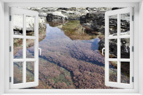 Fototapeta Naklejka Na Ścianę Okno 3D - 海にある岩でできた海の池の水面に空模様が映ります海底には海藻