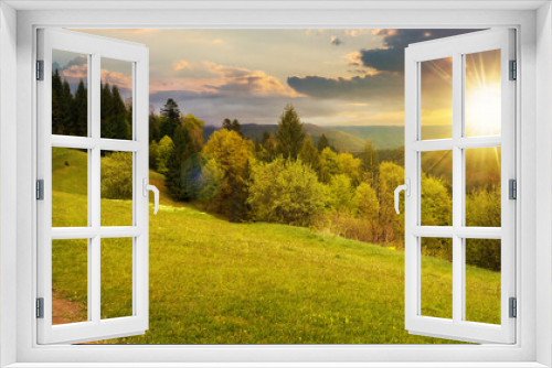 Fototapeta Naklejka Na Ścianę Okno 3D - beautiful nature scenery in spring at sunset. countryside landscape in the carpathian mountains with fresh green meadows and coniferous forest in evening light. clouds on sky above the distant ridge