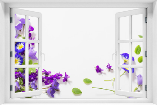 Fototapeta Naklejka Na Ścianę Okno 3D - blue summer flowers on white background