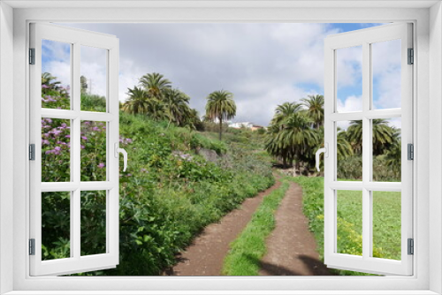 Fototapeta Naklejka Na Ścianę Okno 3D - Feldweg und Palmen bei Santa Brígida auf Gran Canaria