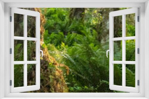 Fototapeta Naklejka Na Ścianę Okno 3D - bright lush green forest on a bright sunny day