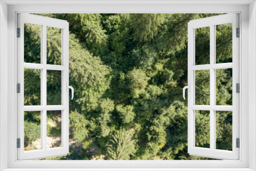 Fototapeta Naklejka Na Ścianę Okno 3D - Coniferous trees on the slope of the mountain. Aerial drone view.