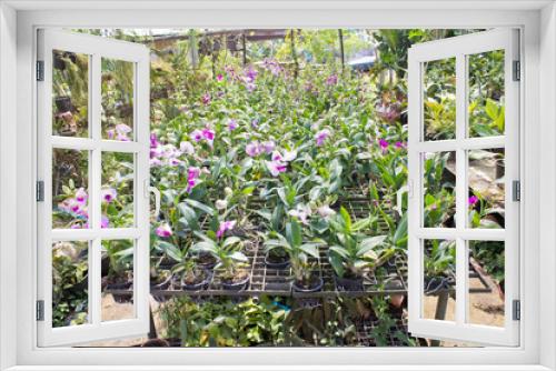 Fototapeta Naklejka Na Ścianę Okno 3D - plant green house garden orchid flower nursery