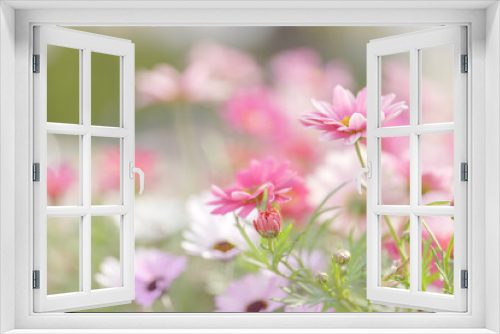 Fototapeta Naklejka Na Ścianę Okno 3D - 春の色とりどりの花