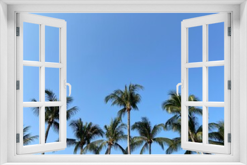 Fototapeta Naklejka Na Ścianę Okno 3D - nice tropical with blue sky, palms tree, green leave
