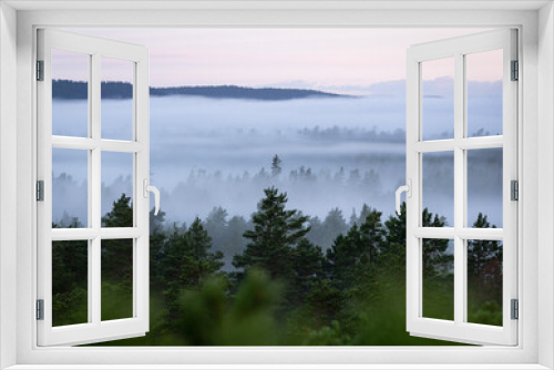 Fototapeta Naklejka Na Ścianę Okno 3D - Forest Treetops in Fog
