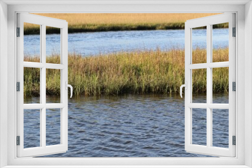 Fototapeta Naklejka Na Ścianę Okno 3D - reeds in the lake