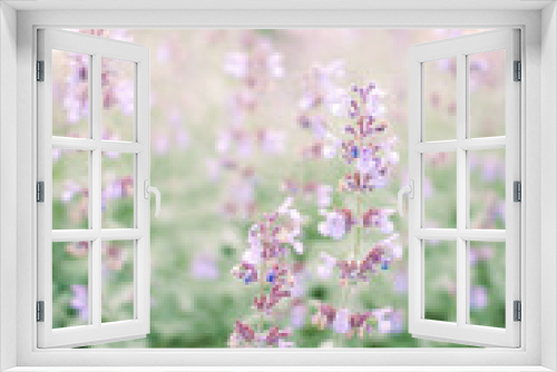 Fototapeta Naklejka Na Ścianę Okno 3D - Garden 