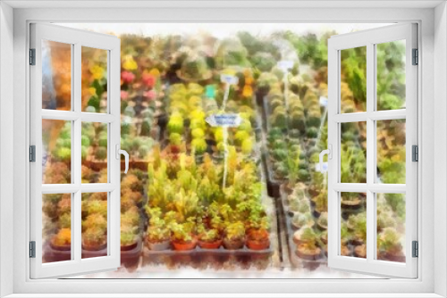 Fototapeta Naklejka Na Ścianę Okno 3D - There are many types of cactus in the plant shop watercolor style illustration impressionist painting.