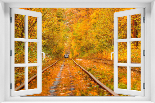 Fototapeta Naklejka Na Ścianę Okno 3D - Autumn forest through which an old tram rides (Ukraine)