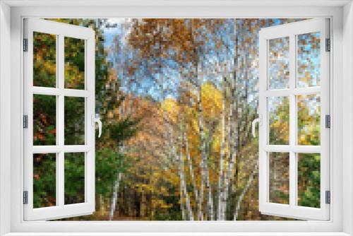 Fototapeta Naklejka Na Ścianę Okno 3D - Autumn in Ontario, Canada