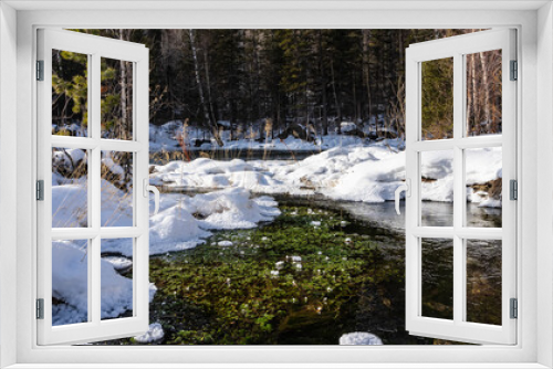Fototapeta Naklejka Na Ścianę Okno 3D - The spring stream flows between the snow-covered shores. Aquatic plants are visible on the water. Dry grass and bare trees in snowdrifts. The forest is far away. Altai