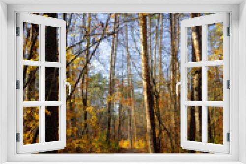 Fototapeta Naklejka Na Ścianę Okno 3D - Road through a beautiful autumn forest