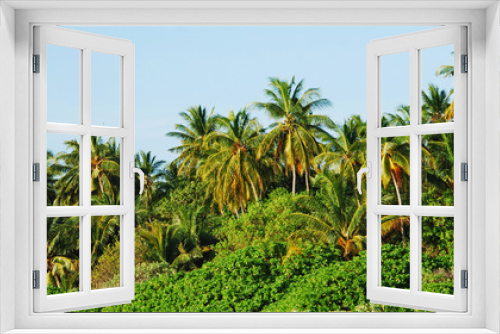 Fototapeta Naklejka Na Ścianę Okno 3D - Palm trees