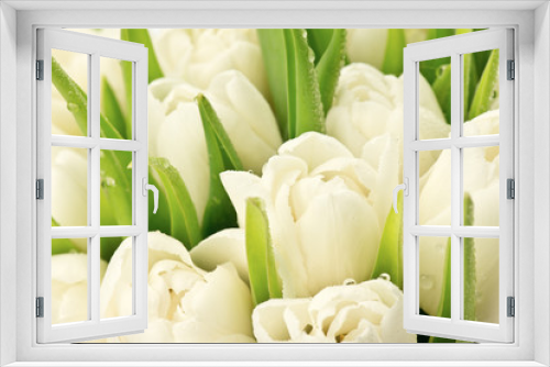 Fototapeta Naklejka Na Ścianę Okno 3D - Tulipany