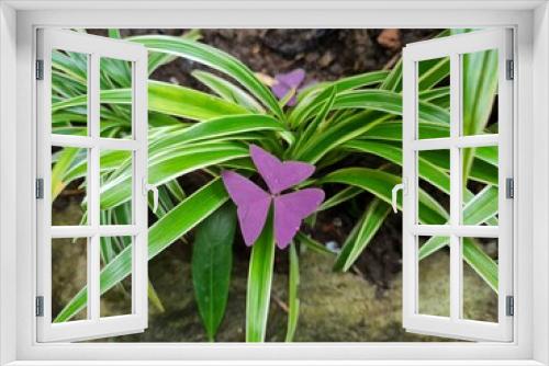 Fototapeta Naklejka Na Ścianę Okno 3D - Green leaf plant in school garden