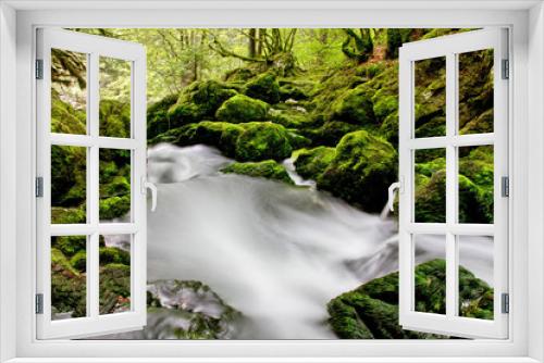 Fototapeta Naklejka Na Ścianę Okno 3D - Forêt humide