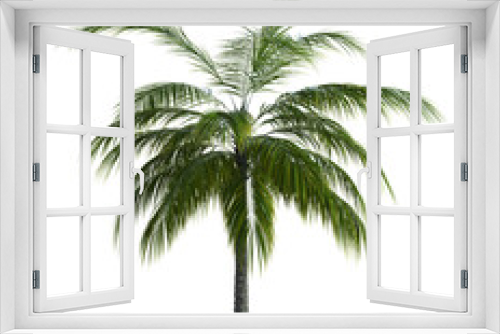 Fototapeta Naklejka Na Ścianę Okno 3D - 3D Green palm tree
