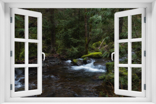Fototapeta Naklejka Na Ścianę Okno 3D - Creek flowing through lush green Pacific Northwest forest