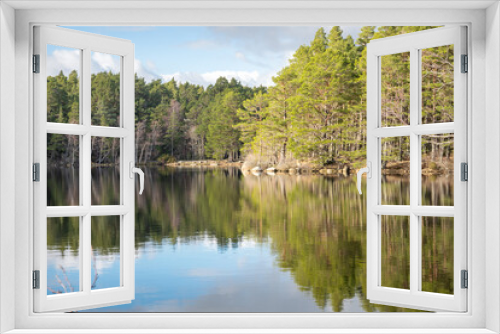 Fototapeta Naklejka Na Ścianę Okno 3D - Reflections in Loch Garten in  Strathspey in the Highlands of Scotland