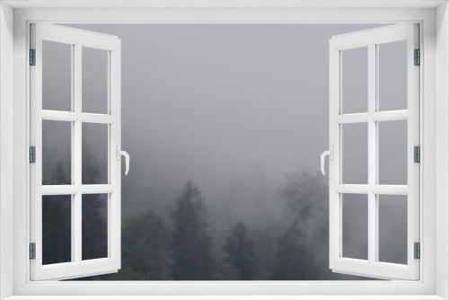 Fototapeta Naklejka Na Ścianę Okno 3D - Wald in Nebel bei Regen