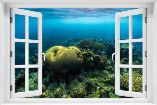 Fototapeta Naklejka Na Ścianę Okno 3D - Beautiful underwater corals of the Andaman Sea in Thailand.