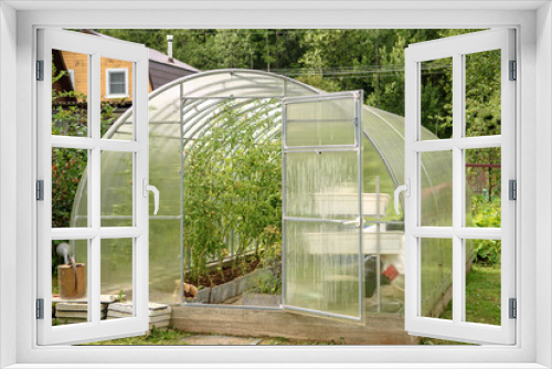 Fototapeta Naklejka Na Ścianę Okno 3D - Greenhouse in the backyard with an open door. Growing tomatoes and cucumbers in the summer in your garden