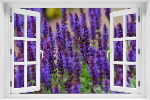 Fototapeta Naklejka Na Ścianę Okno 3D - Bees in flowers