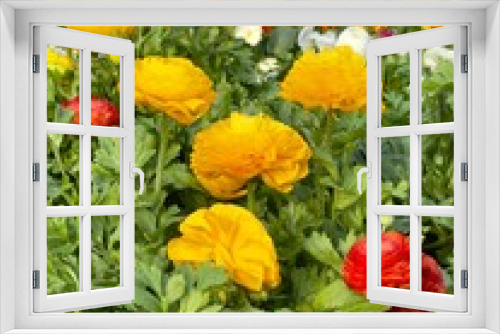 Fototapeta Naklejka Na Ścianę Okno 3D - vertical photograph spring flower garden