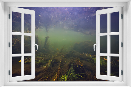 Fototapeta Naklejka Na Ścianę Okno 3D - abstract underwater background in the lake, clean freshwater