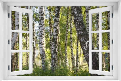 Fototapeta Naklejka Na Ścianę Okno 3D - tree in the woods