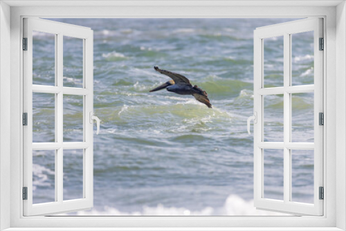 Fototapeta Naklejka Na Ścianę Okno 3D - Pelican flying over the ocean