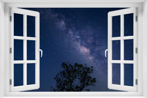 Fototapeta Naklejka Na Ścianę Okno 3D - Vertical Milky way with stars,silhouette tree in africa with sunrise.Tree silhouetted against a setting sun.Dark tree on open rice field dramatic night Blue sky.