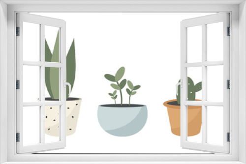 Fototapeta Naklejka Na Ścianę Okno 3D - Home plants in pots. Vector illustration.