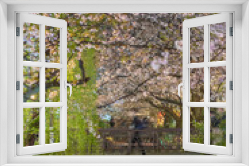 Fototapeta Naklejka Na Ścianę Okno 3D - 夜桜