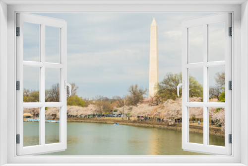 Fototapeta Naklejka Na Ścianę Okno 3D - Sunny view of the Washington Monument with cherry blossom