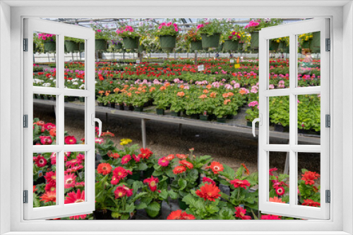 Fototapeta Naklejka Na Ścianę Okno 3D - A greenhouse full of colorful flowers and hanging baskets