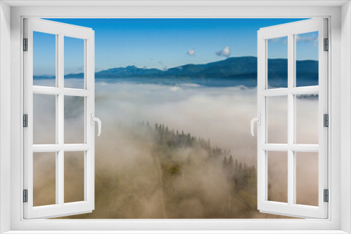 Fototapeta Naklejka Na Ścianę Okno 3D - Sunny morning in the foggy Carpathians. A thick layer of fog covers the mountains. Aerial drone view.