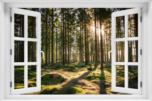 Fototapeta Naklejka Na Ścianę Okno 3D - Gold And Green Forest