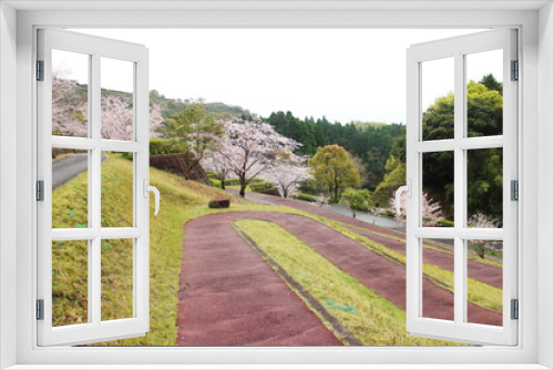 Fototapeta Naklejka Na Ścianę Okno 3D - 運動公園の綺麗な桜