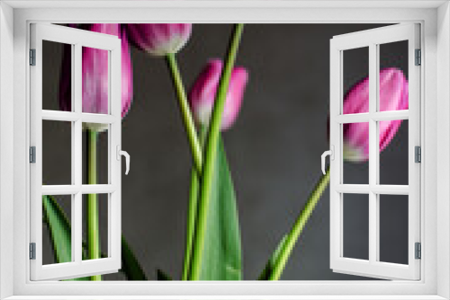 Fototapeta Naklejka Na Ścianę Okno 3D - Slender spring tulips bloom outdoors