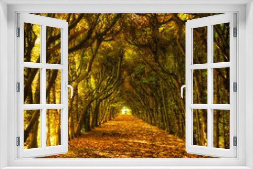 Fototapeta Naklejka Na Ścianę Okno 3D - Scary long and deep tunnel of trees with ground covered in fallen leaves and filtering rays of light in the fall