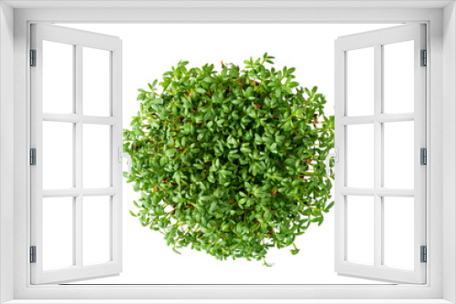 Fototapeta Naklejka Na Ścianę Okno 3D - rzeżucha ogrodowa